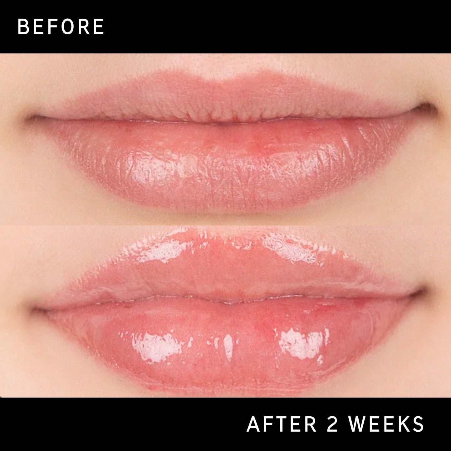 lip-plumping-duo-i2 DTC-Top15_Amends_Tripeptide-Lip_B_A.jpg